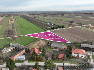 Działka Sprzedaż Łęg