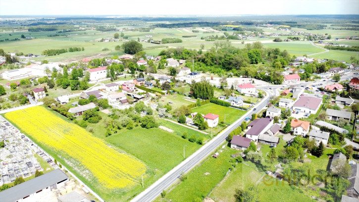 Działka Sprzedaż  Mirzec Stary 4