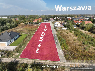 Działka Sprzedaż Dawidy Bankowe Kwiatów Polnych