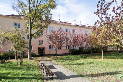 Mieszkanie Wynajem  Śródmieście Sapieżyńska