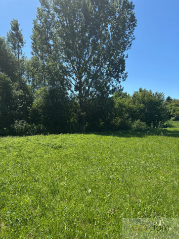 Lokal Sprzedaż Rzeczniów 4