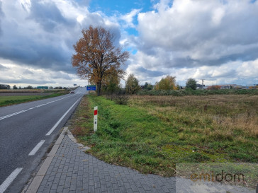 Działka Sprzedaż Pełczyska