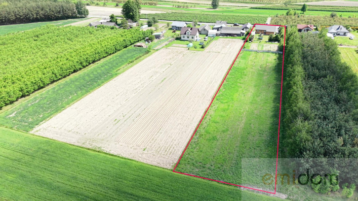 Dom Sprzedaż Wierzchowiska Pierwsze 18