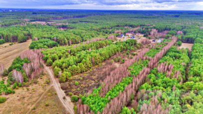 Działka Sprzedaż Kalinowo