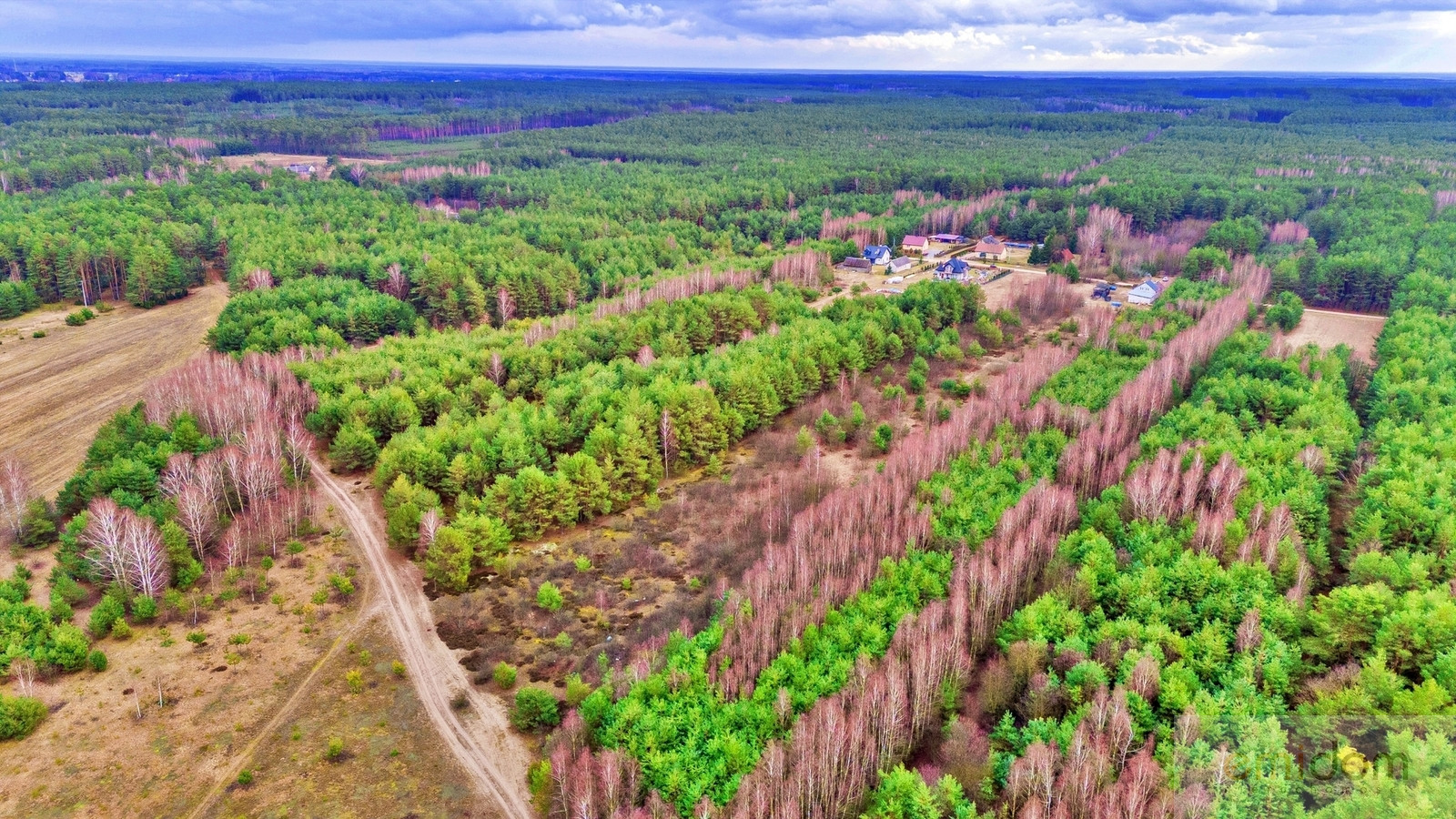 Działka Sprzedaż Kalinowo