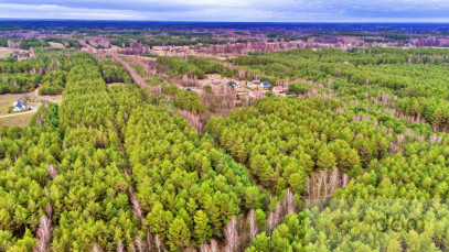 Działka Sprzedaż Kalinowo