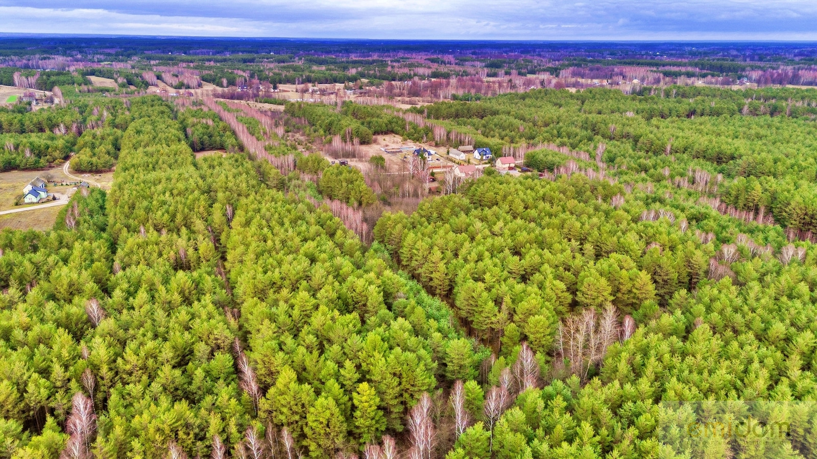 Działka Sprzedaż Kalinowo