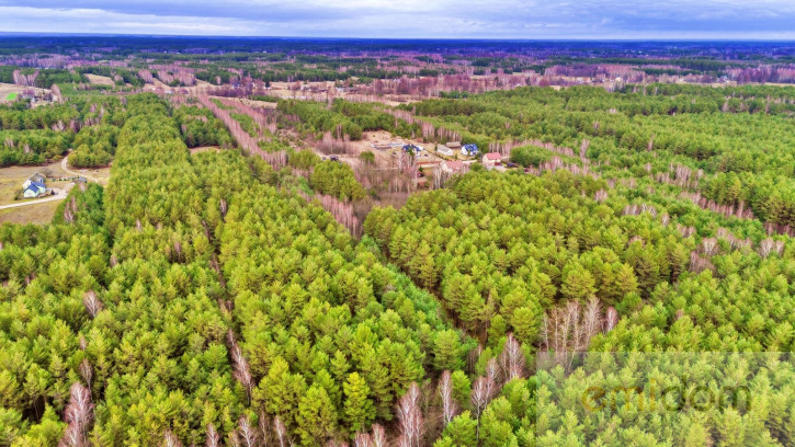 Działka Sprzedaż Kalinowo 26