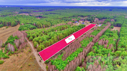 Działka Sprzedaż Kalinowo