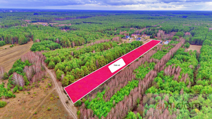 Działka Sprzedaż Kalinowo 10