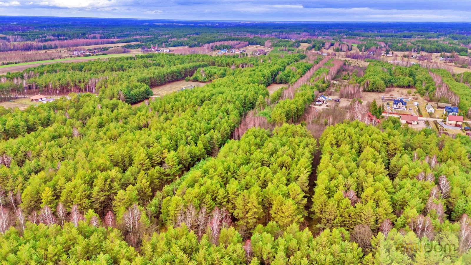 Działka Sprzedaż Kalinowo