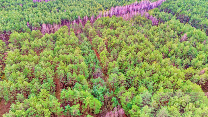 Działka Sprzedaż Kalinowo 15