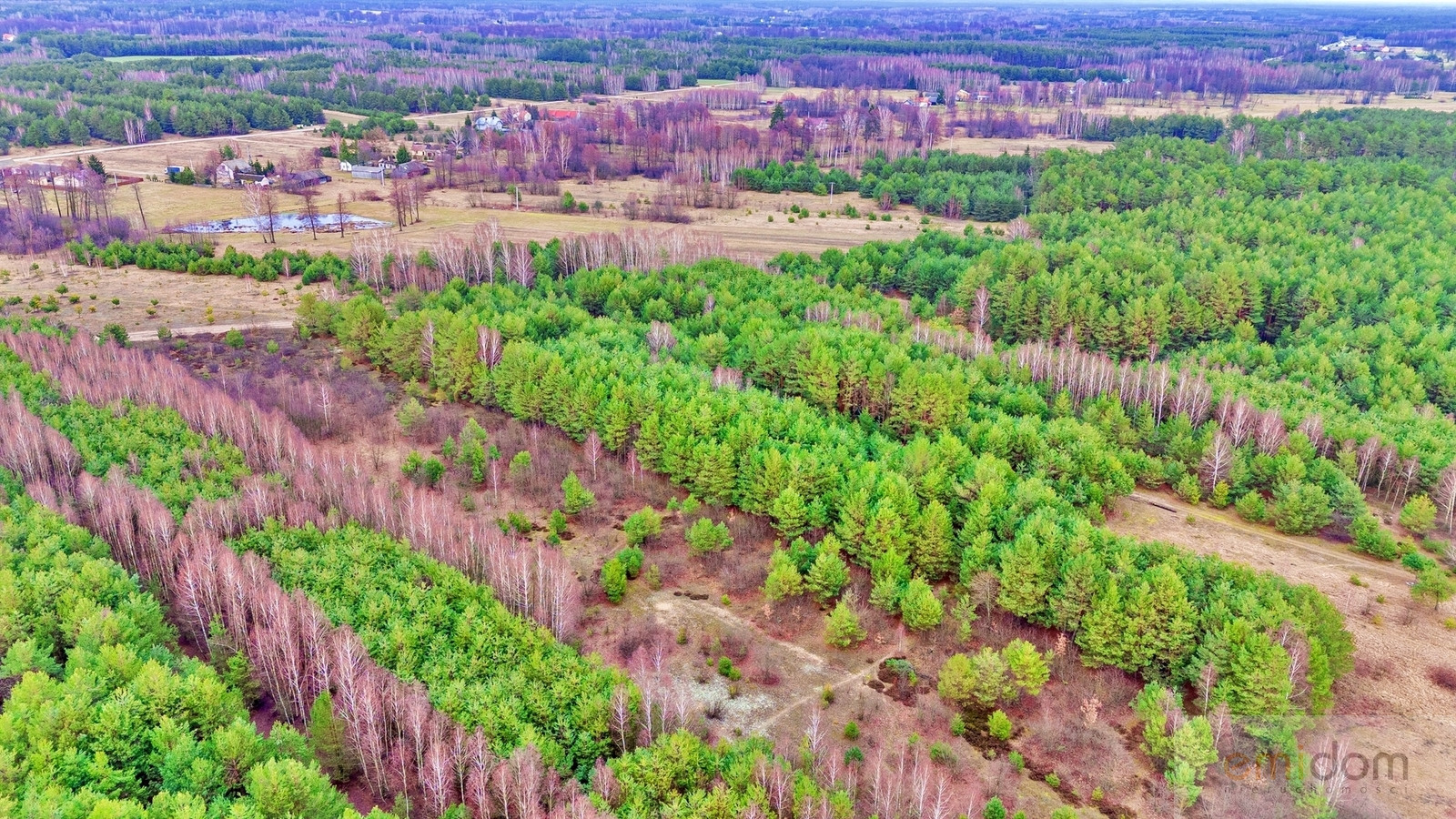 Działka Sprzedaż Kalinowo