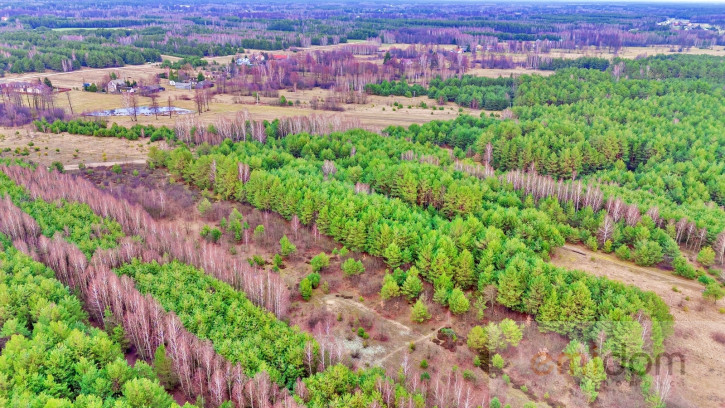 Działka Sprzedaż Kalinowo 18
