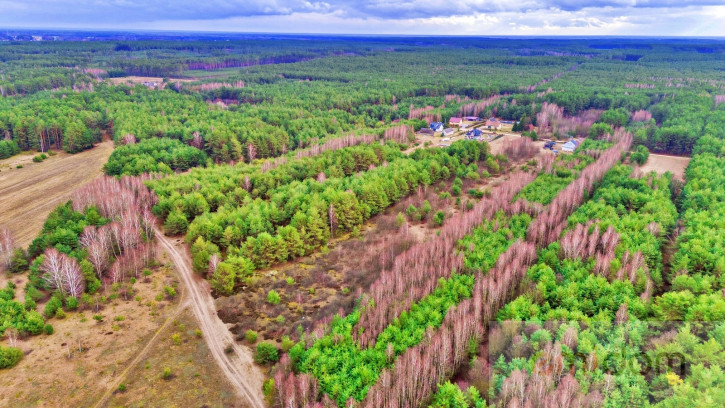 Działka Sprzedaż Kalinowo 19