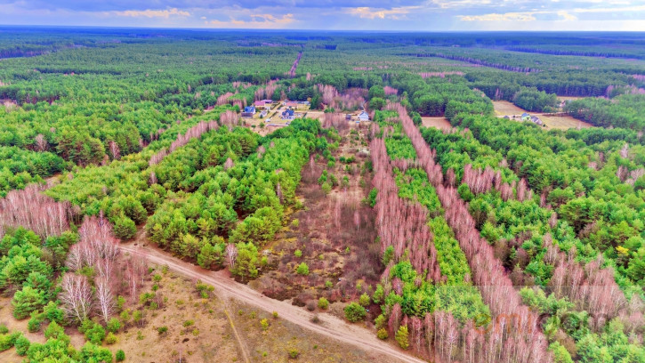 Działka Sprzedaż Kalinowo 20