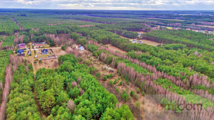 Działka Sprzedaż Kalinowo 21