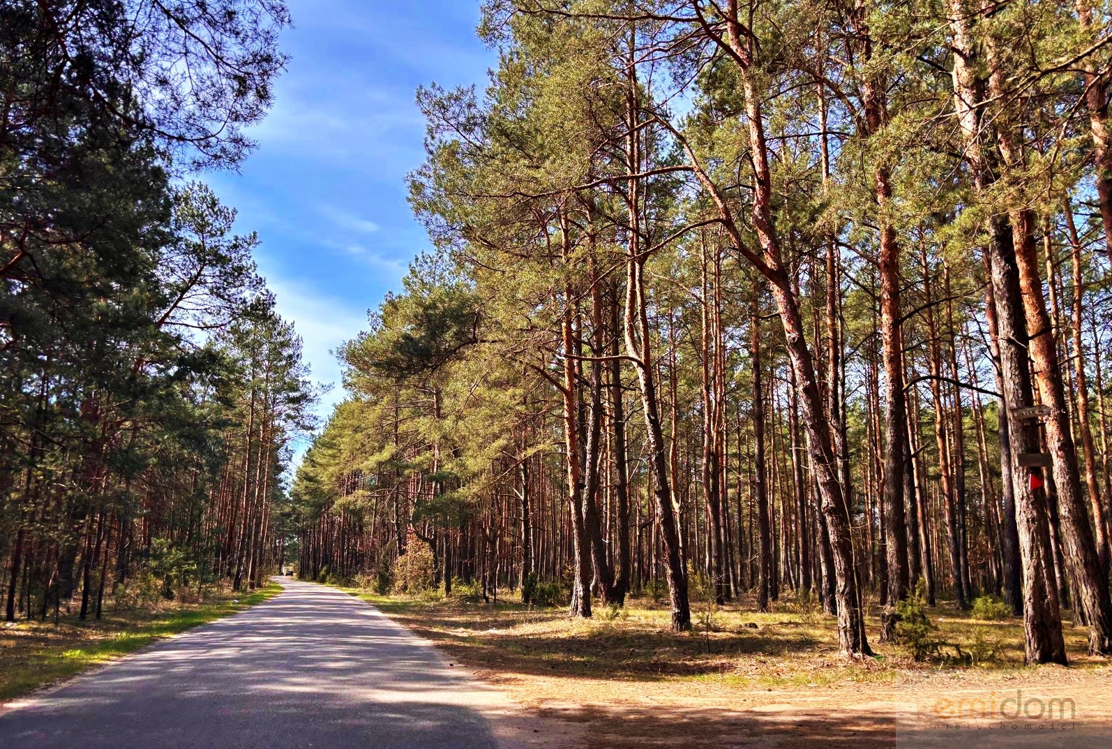 Działka Sprzedaż Kalinowo