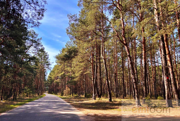 Działka Sprzedaż Kalinowo 6