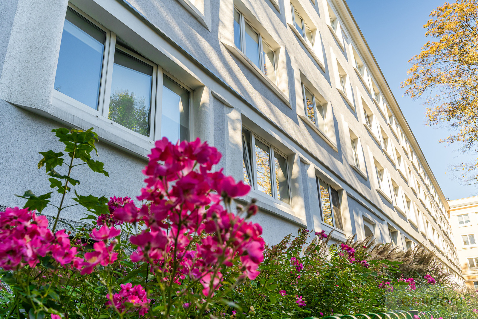 Mieszkanie Wynajem Warszawa Śródmieście Dzielna