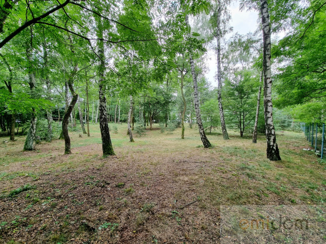 Działka Sprzedaż Książenice al.&nbsp;Sadowa 6
