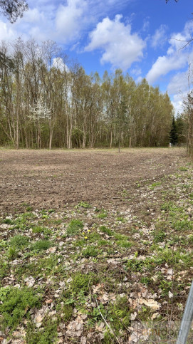 Działka Sprzedaż Kornelówka 3