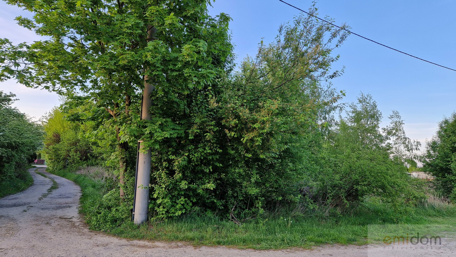Działka Sprzedaż Dębina Pańska